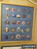 Display board of 25 motor car enamel badges, Continental and USA types