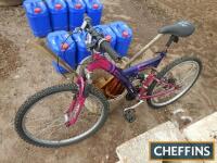 Ladies mountain bike t/w wicker basket