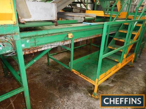 Haith free standing conveyor, 4.3m x 900mm with platform