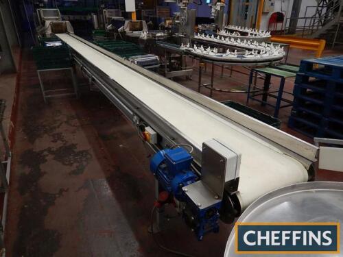 Free standing flat conveyor 8.7m x 440mm