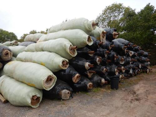 29no. rolls Enviromesh 13m wide x 50-90m long with 1.2mm hole PLEASE CONTACT THE AUCTIONEERS FOR RESERVE PRICE