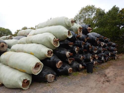 25no. rolls Enviromesh 13m wide x 50-90m long with 1.2mm hole PLEASE CONTACT THE AUCTIONEERS FOR RESERVE PRICE