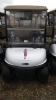 2016 EZGO RXVE SILVER TAN OBC BFK TECKVIEW 10' SCREEN HIGH BACK SEAT USB CHARGING BFK OBC 5410194 11181040