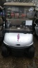 2016 EZGO RXVE SILVER TAN OBC BFK TECKVIEW 10' SCREEN HIGH BACK SEAT USB CHARGING BFK OBC 5410226 11181050
