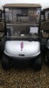 2016 EZGO RXVE SILVER TAN OBC BFK TECKVIEW 10' SCREEN HIGH BACK SEAT USB CHARGING BFK OBC 5410239 11181056