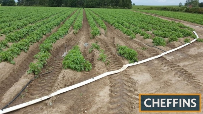 2014 Drip Irrigation system with 113,500m of dripline (10 year/use tape on 2m cage wheels), 3row laying machine with brakes, dripline retrieval machine, layflat retrieval machine, 580m header pipe, 300m of layflat, control system and radio controller with