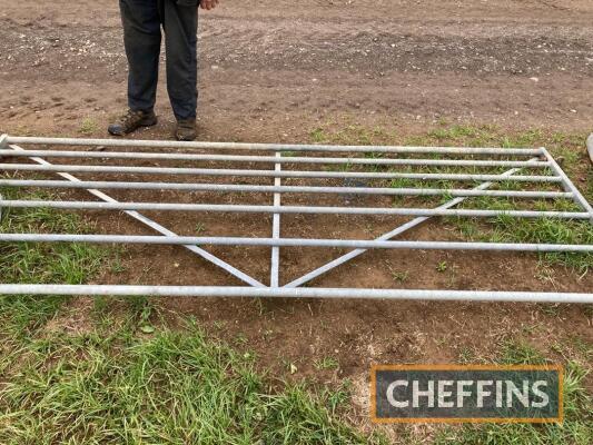 Galvanised gate with drop-over latch, 10ft