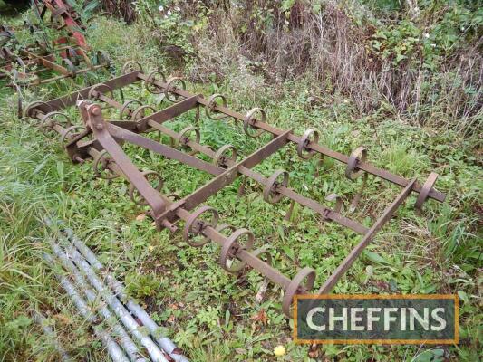 Twose mounted springtine cultivator