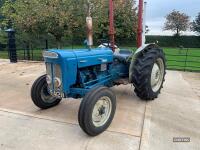 1964 FORDSON Super Dexta 3cylinder TRACTOR
<br/>Reg. No. FRF 412B (expired)