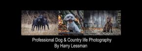 One-hour midweek photoshoot at Shouldham Warren with Harry Lessman, including five digital photos sent by email. Harry is a professional dog and country life photographer