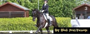 Emma Openshaw dressage instructor and judge has kindly donated a one-hour lesson at Redgate Farm, PE13 or near Wisbech by agreement with Emma