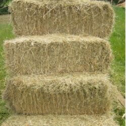 100no. small bales of hay with free delivery. Kindly donated by Mottram Hay & Straw