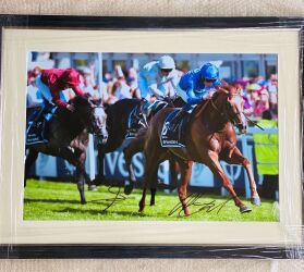 Framed picture of the Derby Winner, 78cm x 58 Kindly donated by Charlie Appleby, Godolphin