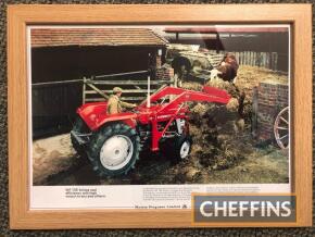 Massey Ferguson MF135 framed poster