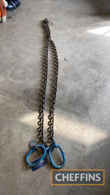 Chain (blue) with hoop each end