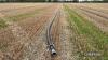 c.245m 110 PE pipe, ex-irrigator