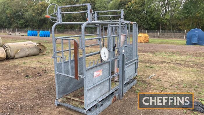 Bateman Cattle Crush Weigher c/w belly strap, 3 point linkage