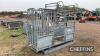 Bateman Cattle Crush Weigher c/w belly strap, 3 point linkage - 5