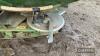 Amazone Zam 1500 Fertiliser Spreader - 8