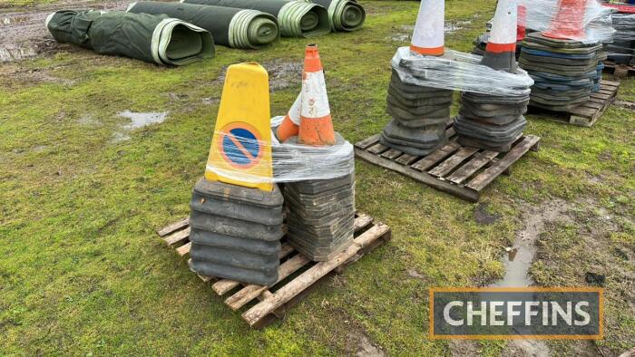 Qty of Cones (small) UNRESERVED LOT