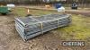 Qty of Harris Fencing Panels UNRESERVED LOT