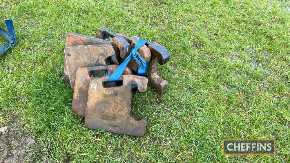 Case Front Weights Preston Collective Machinery Sale Auction sale of