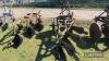 Ransomes 3furrow plough - 6