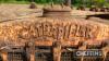 CATERPILLAR twenty 4cynlinder petrol CRAWLER TRACTOR - 12