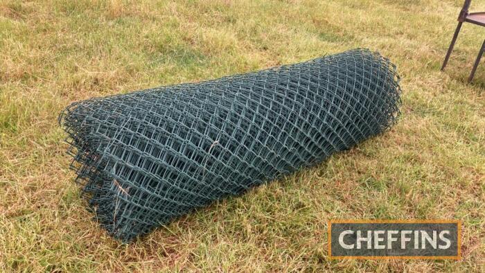 Green chain link fencing INCLUDED BY KIND PERMISSION