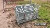 Ironwork Sheep Turnover Crate - 2