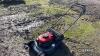 Honda Rotary Mower UNRESERVED LOT - 8