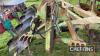 Dowdeswell 7furrow Plough 
<br/>c/w Cat on land off set - 8