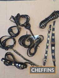 Qty horse harness brass studded straps