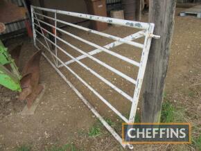 2no. 13ft/10ft metal field gates