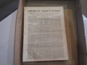 1865 - American Agriculturist, a complete run of 12 issues (adverts of mowers, land for sale etc)