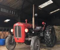 1962 MASSEY FERGUSON 35 3cylinder diesel TRACTOR Reported by the vendor to be unpainted with one previous owner and showing just 1,790hours. Has been used to turn hay and then stored under cover. Supplied by Samuel Wilson, Sheffield. A very straight, orig