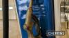 Gilbarco petrol pump, restored, complete with genuine Fina Special globe - 12