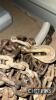 Qty of Heavy Duty Towing Chains UNRESERVED LOT - 2