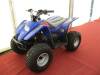 Childs quad bike