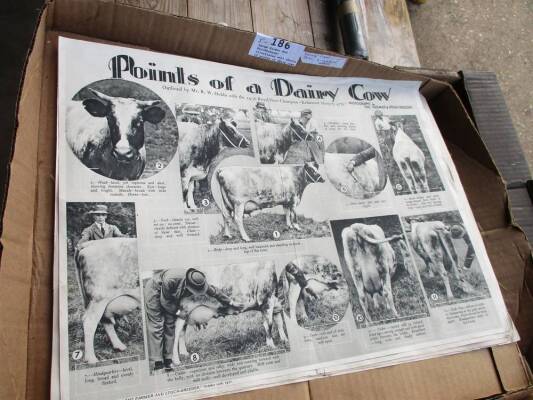 Large Farmer and Stockbreeder illustrated wall charts of points of dairy cows, pigs, sheep etc