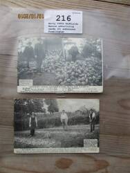 Early 1900s Hadfields Manure advertising cards (2) addressed Framlingham