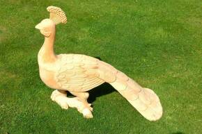 A carved wooden Orton & Spooner style Peacock that would have graced the centre of a fairground spinner stall. Carved with a magnificent tail and standing on a branch.