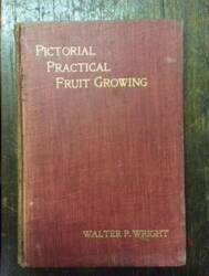 Pictorial Practical Fruit Growing 1903