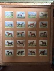 Framed Players Cigarette Cards of Horse and Pony breeds (20 cards)