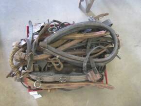 Qty miscellaneous horse equipment