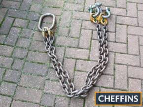 5tonne two leg chains and shackles