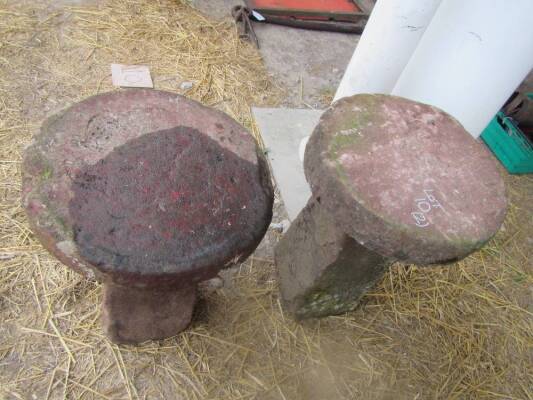 Staddle stones (2)