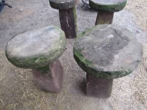 Staddle stones (2)